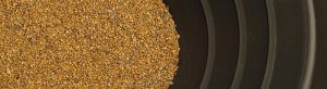 Ballarat Gold Mine Gold Panning